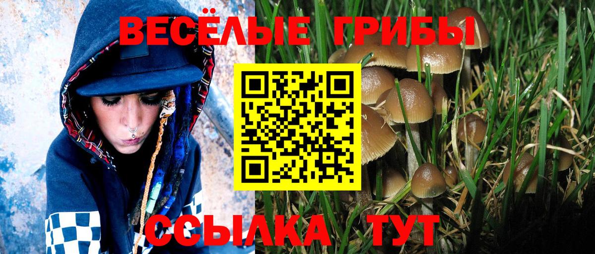 Борисоглебск  Псилоцибиновые грибы прущие грибы  Вход с VPN 